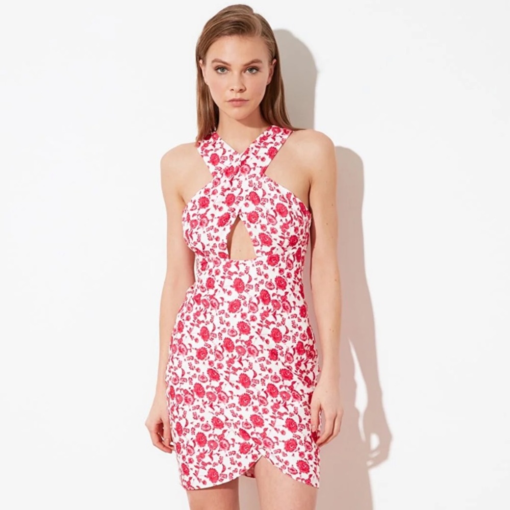 Pink Dress